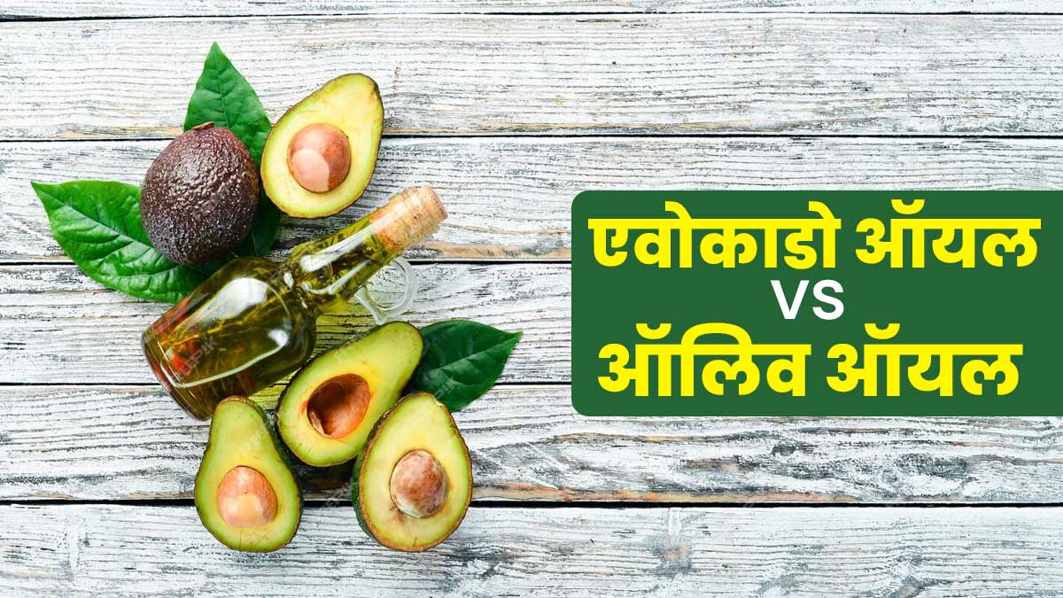 एवोकाडो और ऑलिव ऑयल: इनमें से सेहत के लिए कौन-सा तेल है ज्यादा फायदेमंद? एक्सपर्ट से जानें
