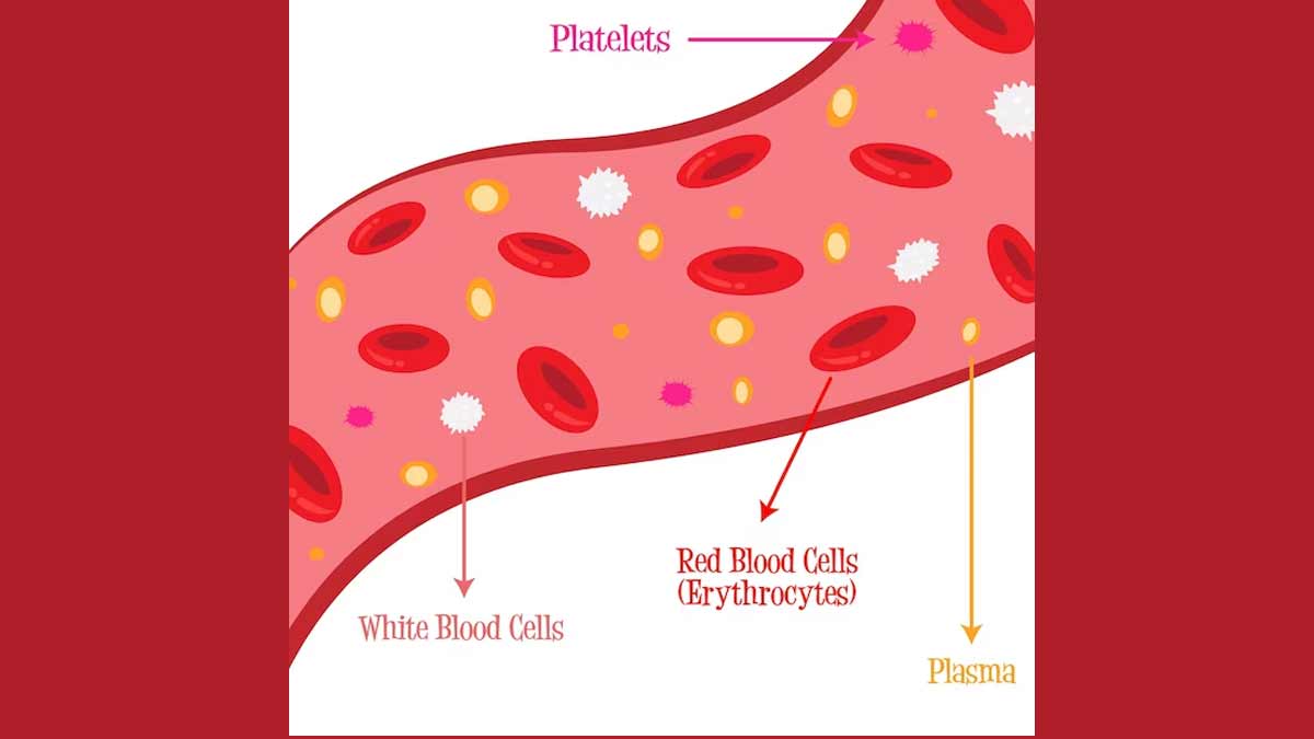 diseases due to blood platlet counts expert advice