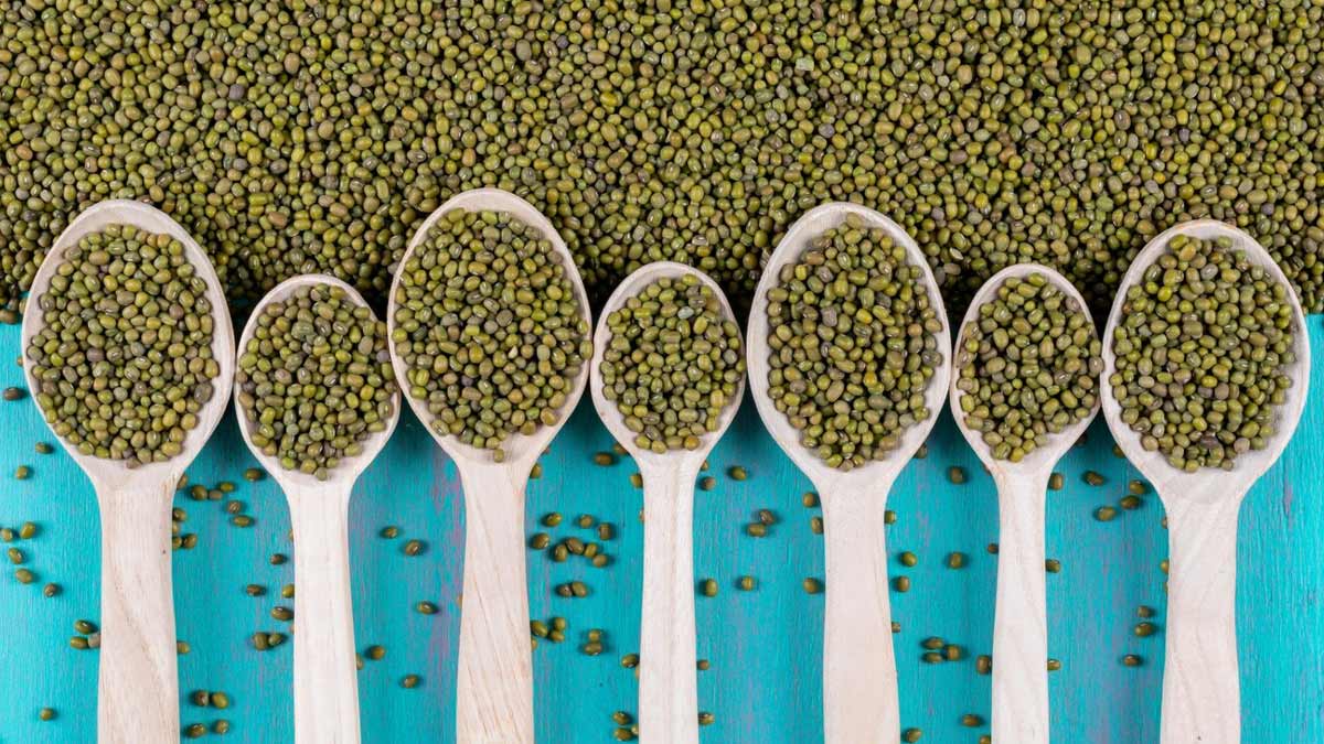 inside-coriander-seeds-diabetes