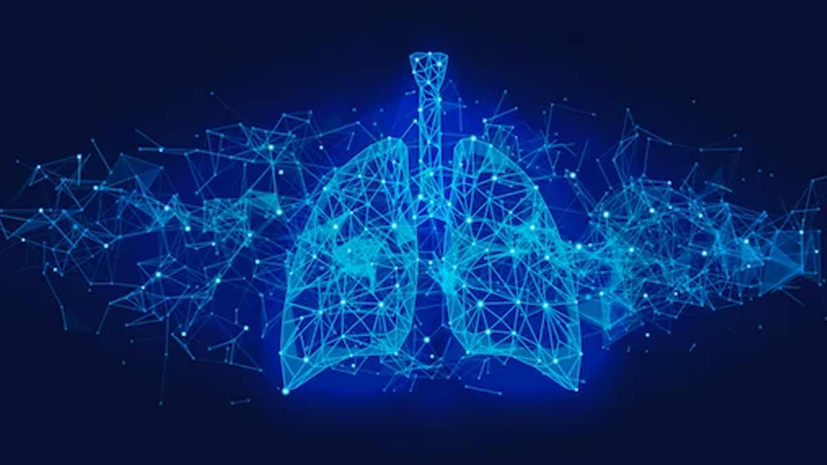 lungs