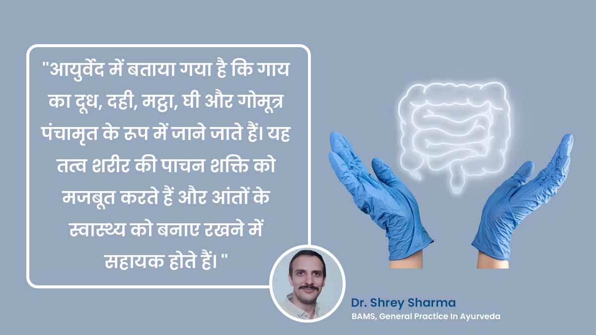 gut health tips