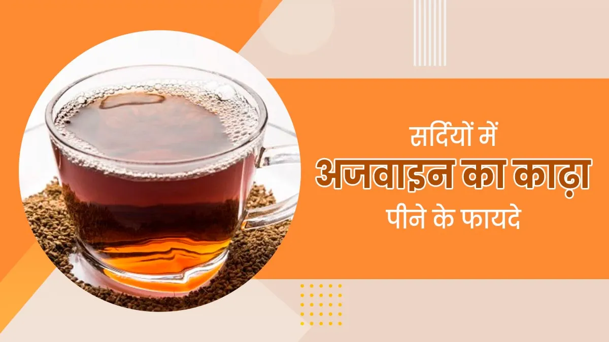 सर्दियों में पिएं अजवाइन का काढ़ा, बढ़ेगी इम्यूनिटी और सर्दी-जुकाम से मिलेगी राहत