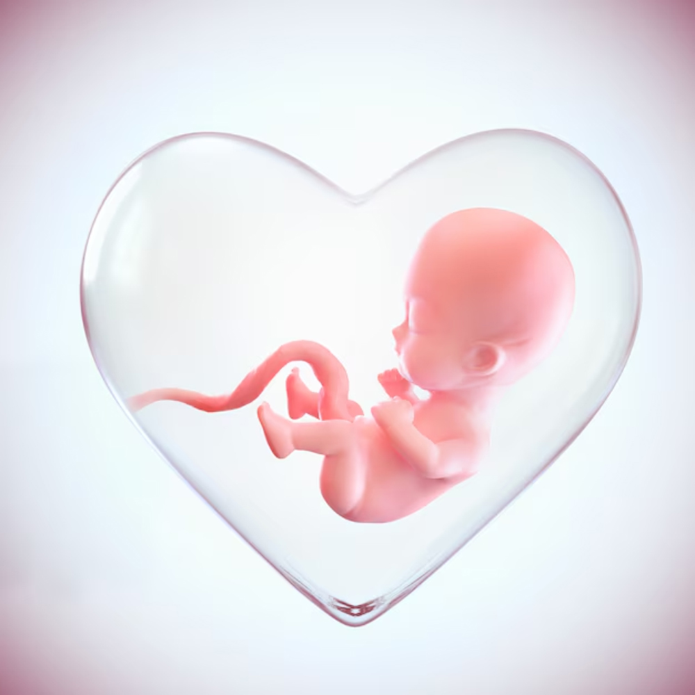 things-not-to-do-after-embryo-transfer-1