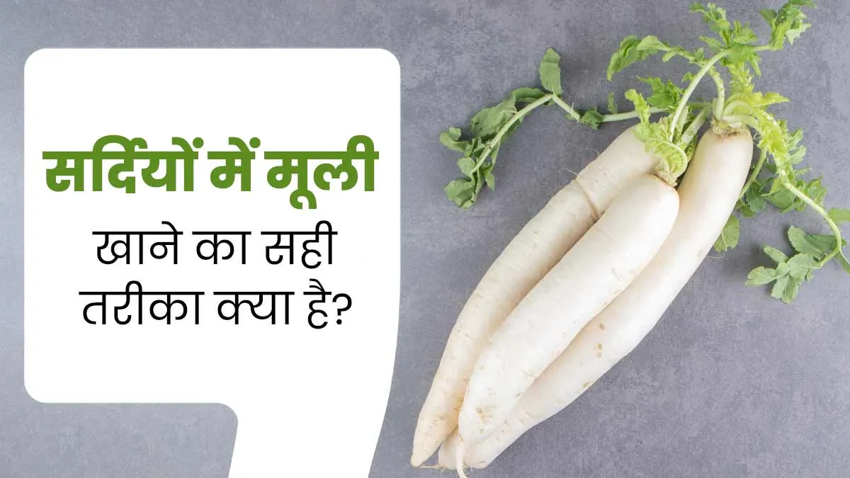 सर्दियों में मूली खाने का सही तरीका क्या है? आयुर्वेदाचार्य से जानें