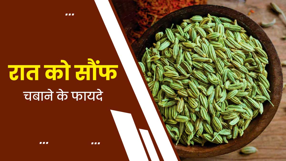 रोज रात को सोते समय चबाएं सौंफ, सेहत को मिलेंगे ये 5 जबरदस्त फायदे