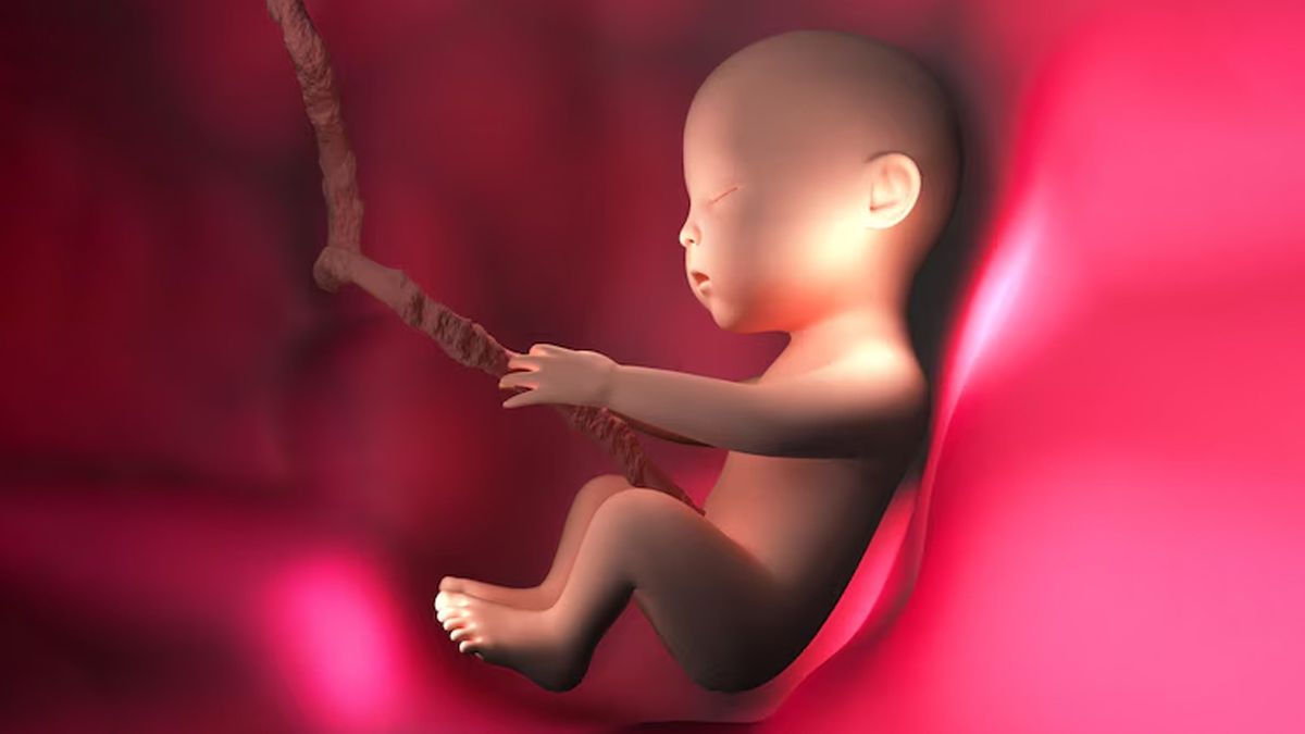 Causes of Hiccups in Babies in the Womb causes-of-hiccups-in-babies-in-the-womb-inside