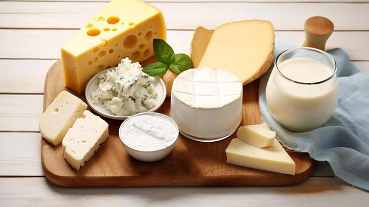 cheese-and-dairy-products