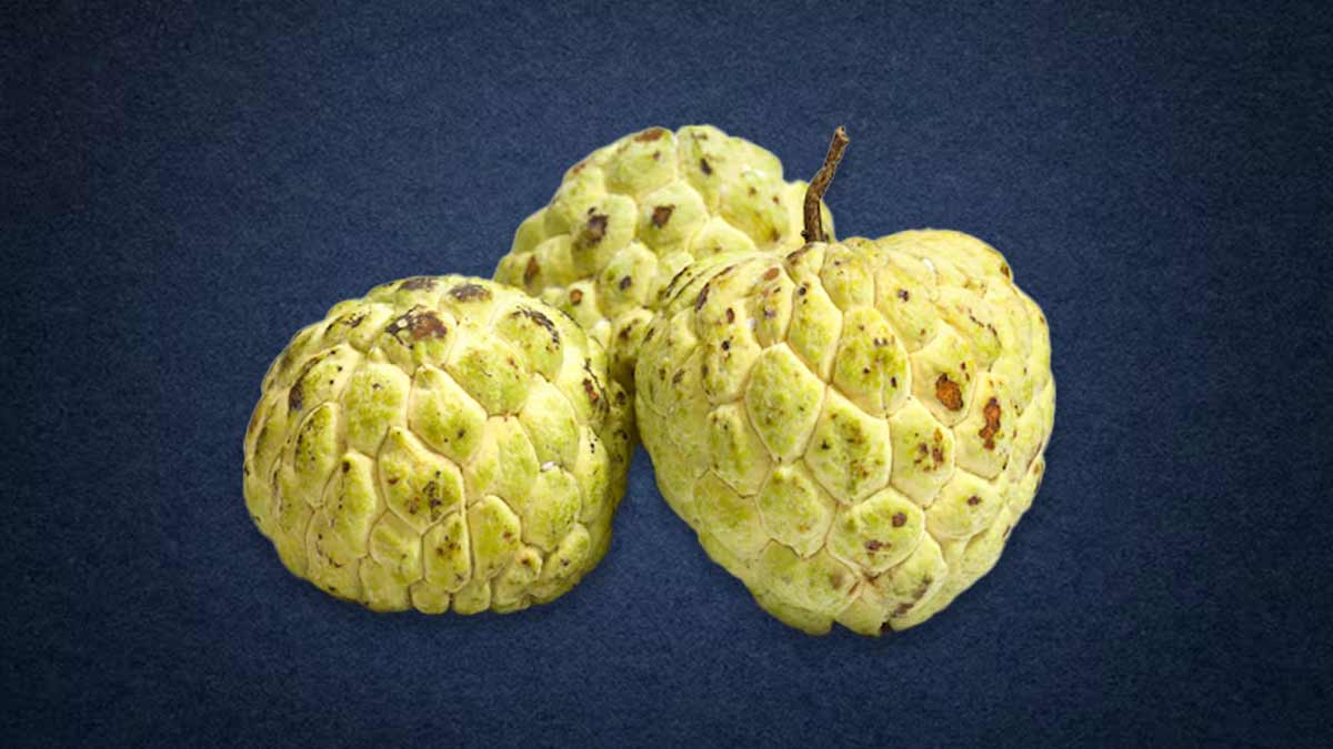 custard-apple-benefits-for-skin-i