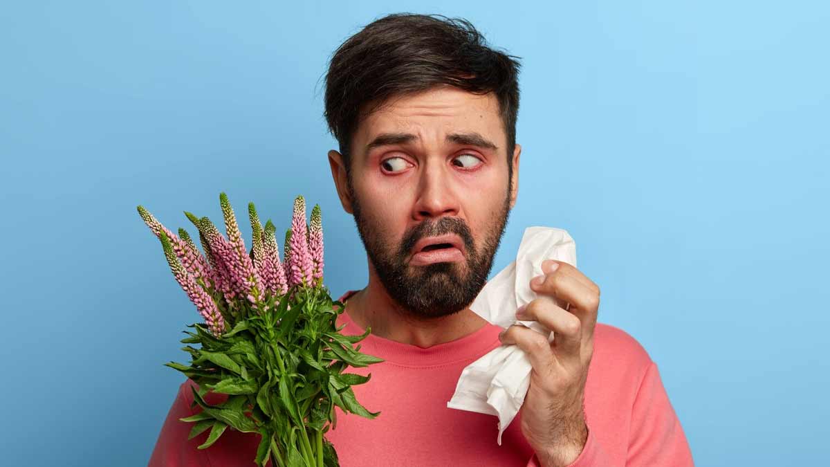 inside-cold-alllergy-difference