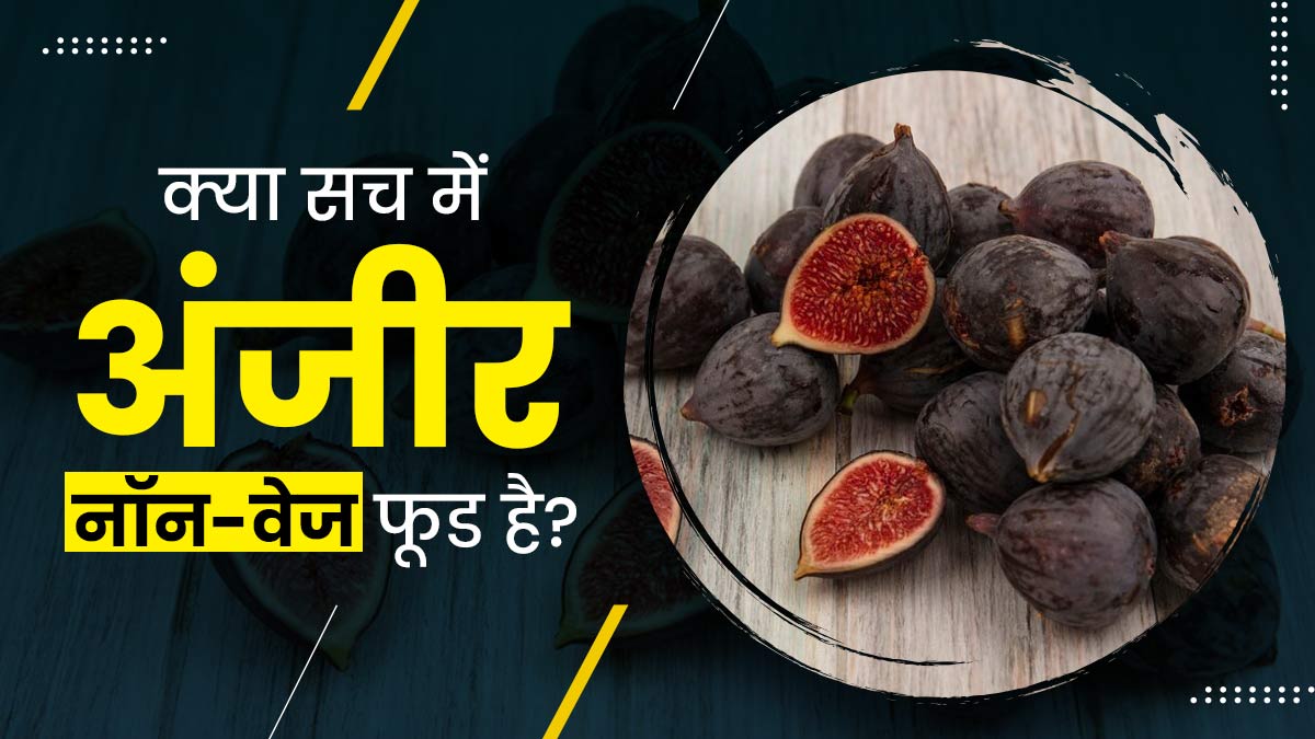 क्या सच में अंजीर नॉन-वेजिटेरियन फूड है? जानें क्या कहते हैं डॉक्टर