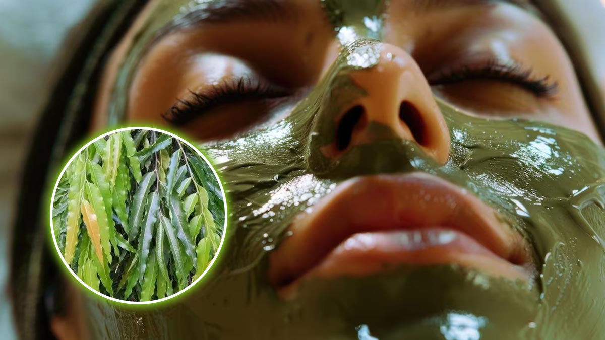 चेहरे पर लगाएं अशोक के पत्ते से बना फेस पैक, 5 स्‍क‍िन प्रॉब्‍लम्‍स से म‍िलेगी राहत