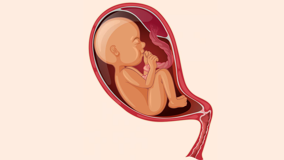 intercourse-with-placenta-previa-1