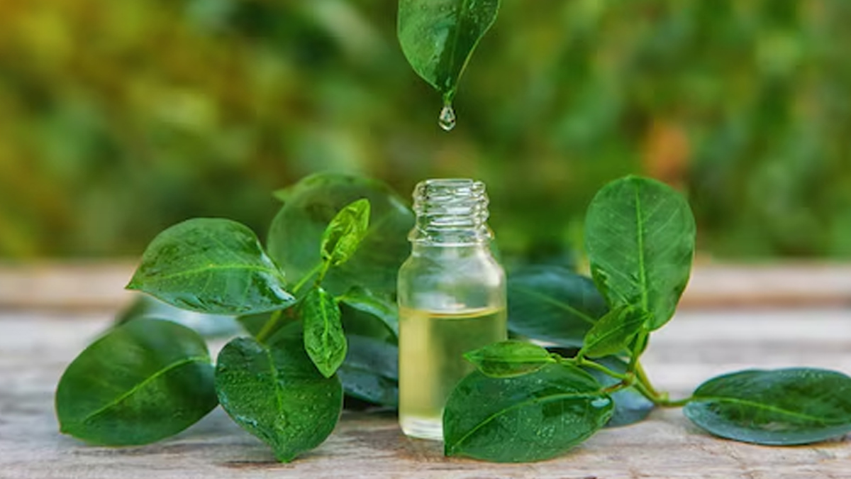 tea-tree-oil-for-oily-skin