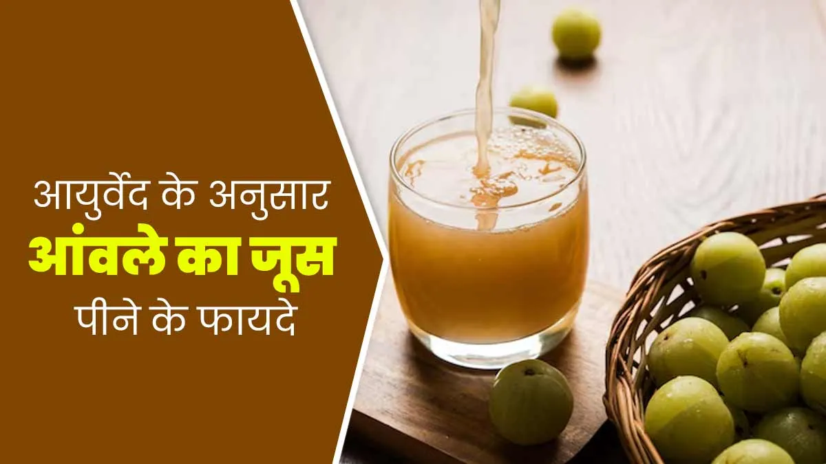 बालों, आंखों और त्वचा के लिए फायदेमंद है आंवले का जूस, आयुर्वेदाचार्य से जानें सेवन का तरीका