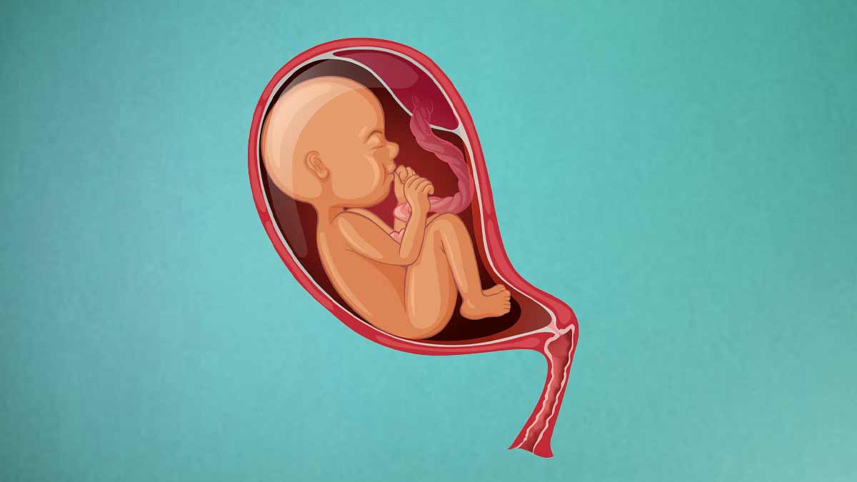 can-placenta-previa-cause-premature-birth-01
