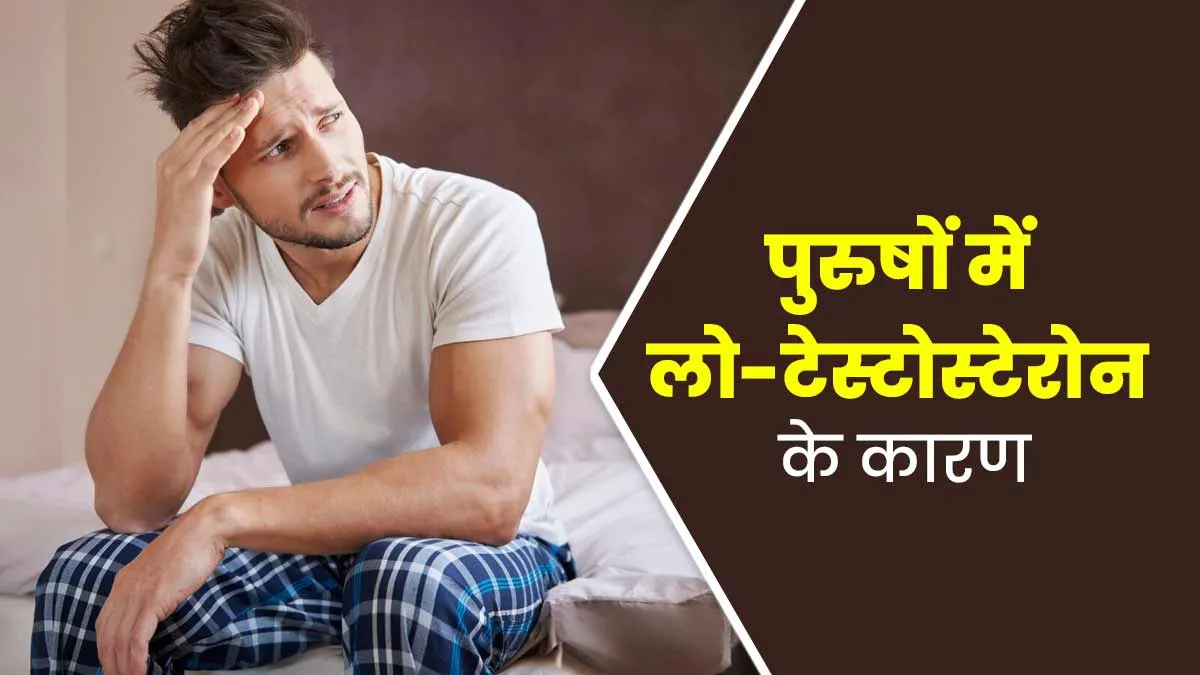 पुरुषों में इन 5 कारणों से हो सकती है लो-टेस्टोस्टेरोन की समस्या, एक्सपर्ट से जानें क्या करें?