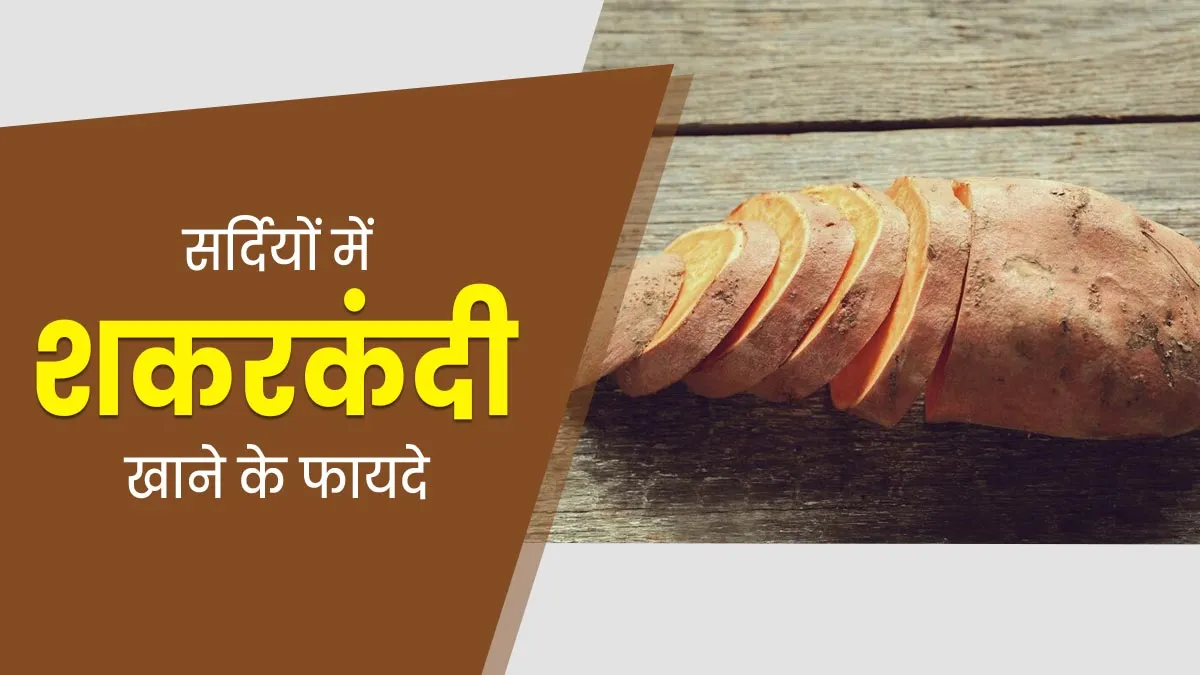सर्दियों में रोज खाएं शकरकंदी, सेहत को होंगे ये 5 जबरदस्त फायदे
