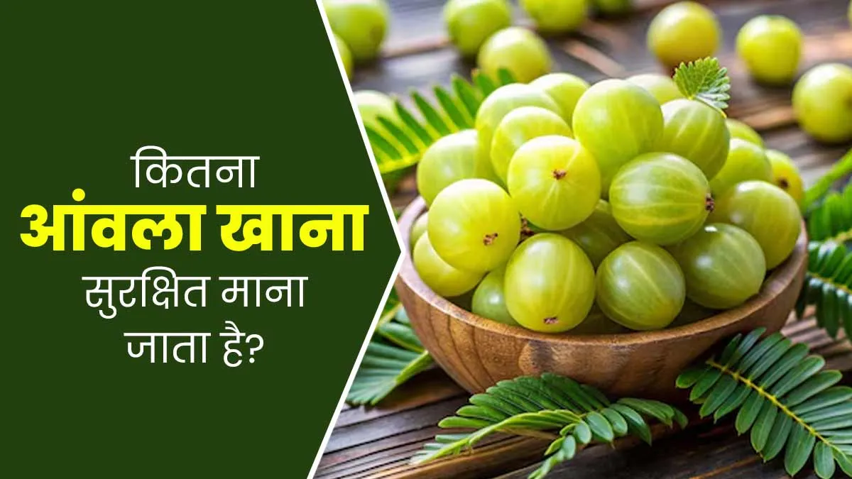 एक दिन में कितना आंवला खा सकते हैं? डॉक्टर से जानें