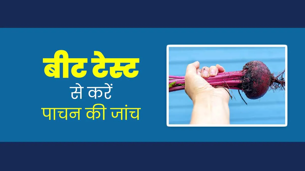 घर बैठे करें पाचन में गड़बड़ी की जांच, बीट टेस्ट बताएगा डाइजेशन सही है या नहीं
