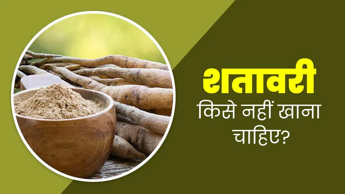 Shatavari Side Effects: इन 5 तरह के लोगों को नहीं करना चाहिए शतावरी का सेवन, जरूर करें परहेज