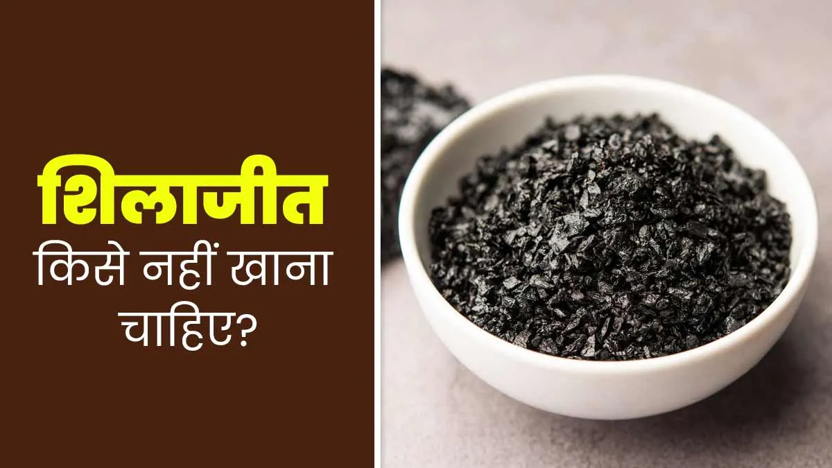 Shilajit Side Effects: शिलाजीत किसे नहीं लेना चाहिए? जानें शिलाजीत लेते समय क्या परहेज करना चाहिए?
