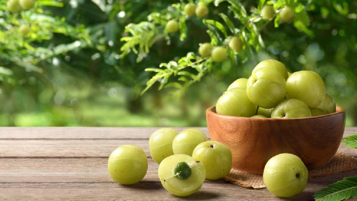 amla-for-blood-sugar-level-inside