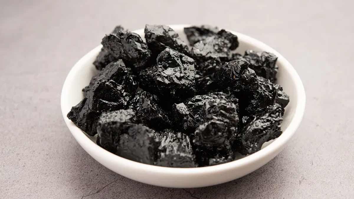 shilajit shilajit-inside