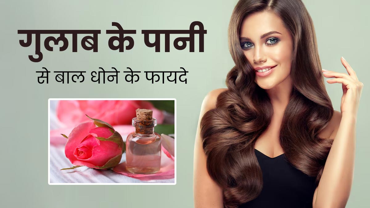 गुलाब के फूलों के पानी से धोएं बाल, खूबसूरत और मुलायम बनेंगे बाल