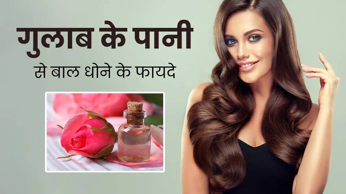 गुलाब के फूलों के पानी से धोएं बाल, खूबसूरत और मुलायम बनेंगे बाल