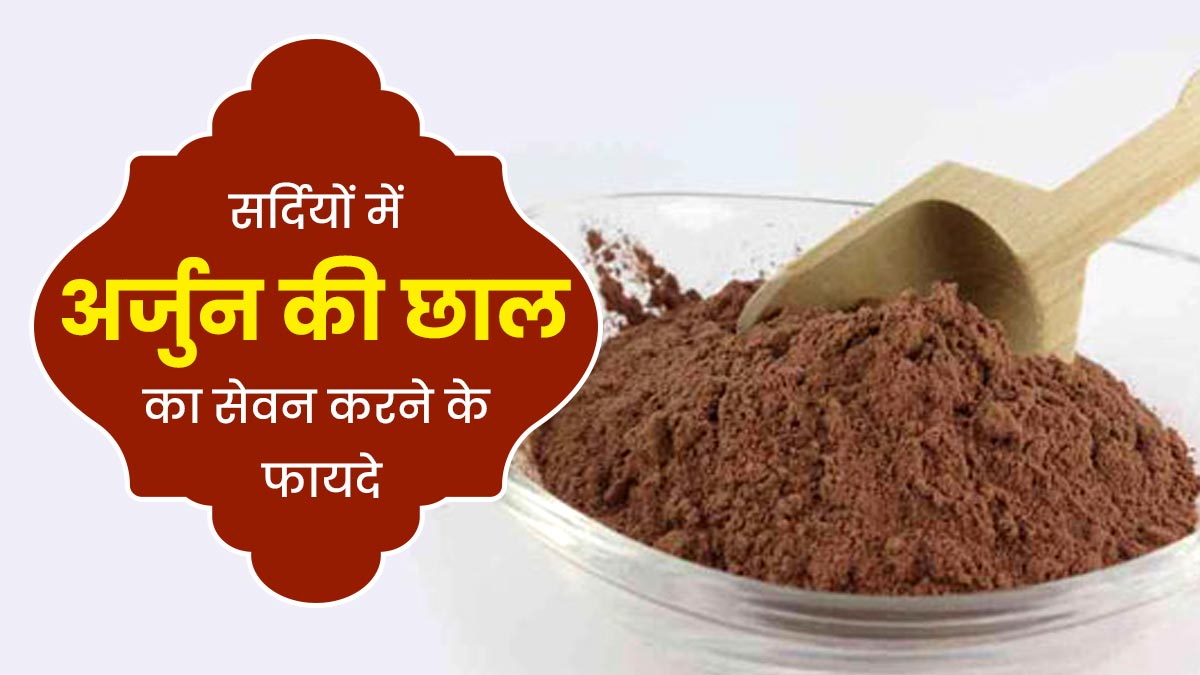 आयुर्वेद के अनुसार सर्दियों में अर्जुन की छाल का सेवन करने से सेहत को मिलते हैं ये 5 फायदे, आप भी जानें
