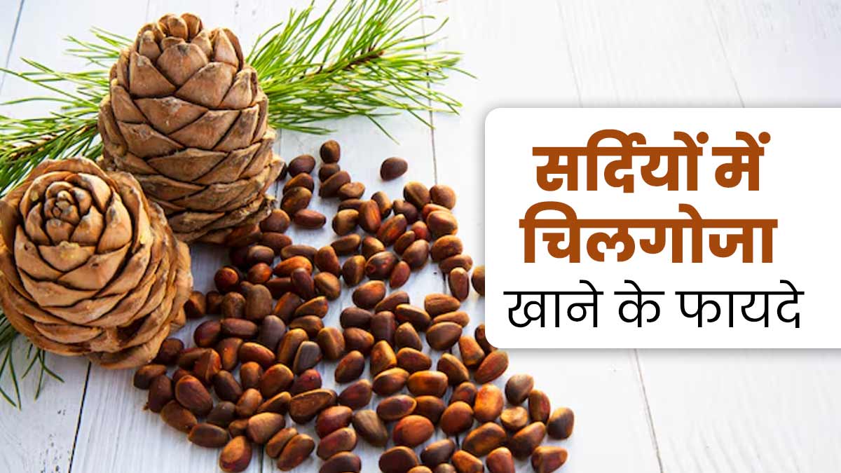 सर्दियों में चिलगोजा खाने से मिलते हैं ये 5 फायदे, डाइट में जरूर करें शामिल