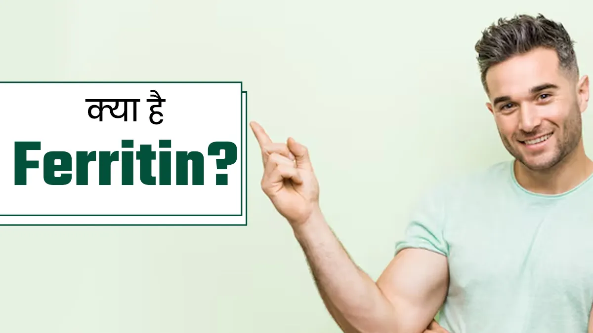 एक तरह का प्रोटीन है Ferritin, डॉक्टर से जानें आयरन के लिए क्यों है ये जरूरी