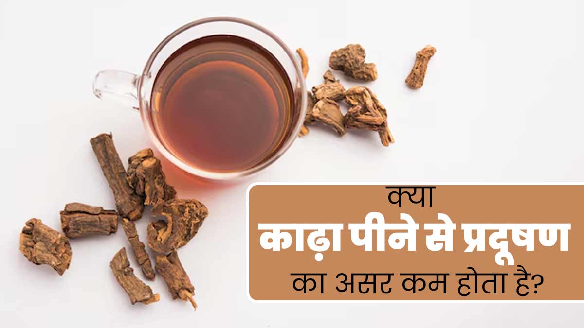 क्या काढ़ा पीने से प्रदूषण के असर को कम किया जा सकता है? जानें डॉक्टर से