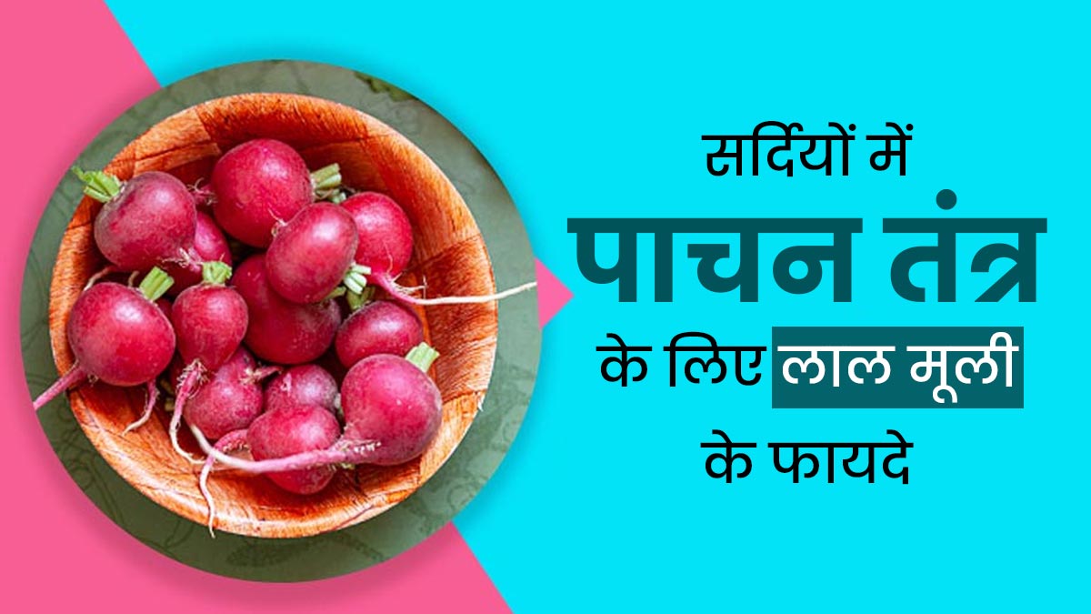 सर्दियों में लाल मूली खाने से पाचन तंत्र को मिलते हैं ये 6 फायदे, डाइट में जरूर करें शामिल