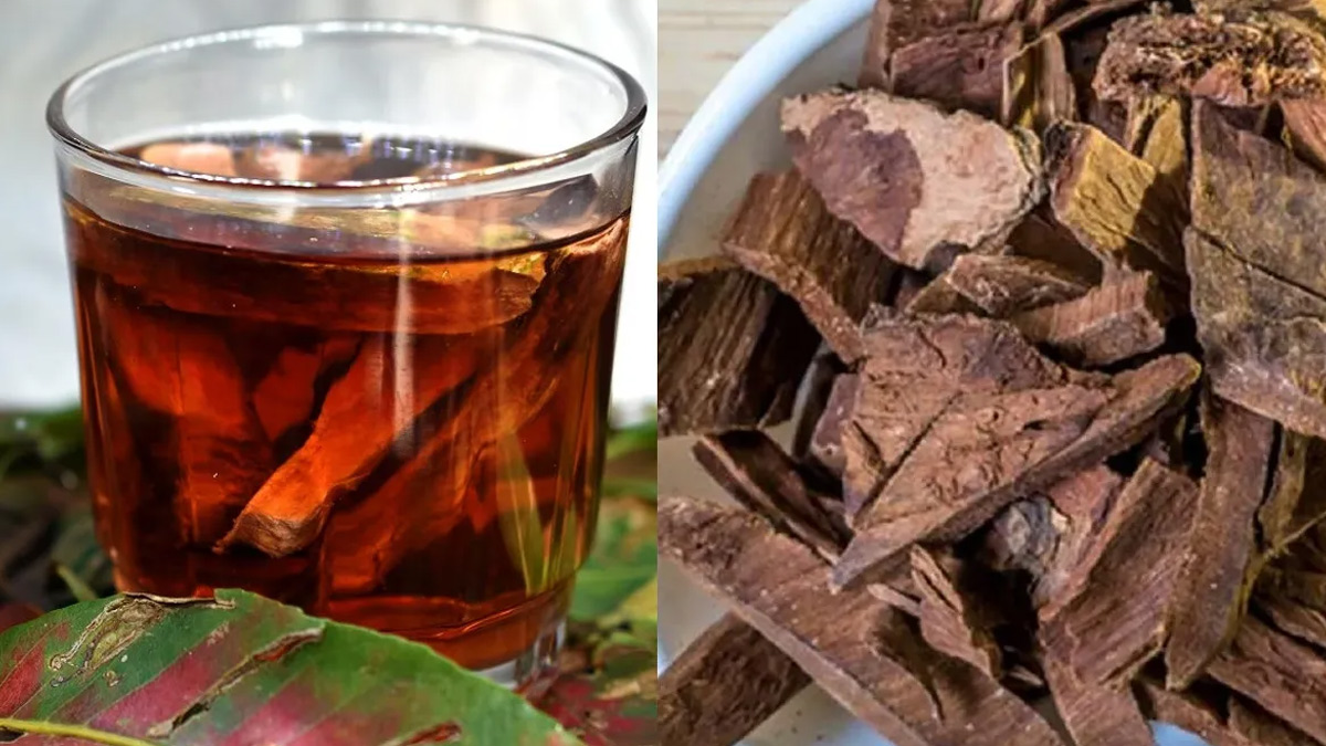 Arjun-Ki-Chaal-in-winters-according-to-ayurveda-inside