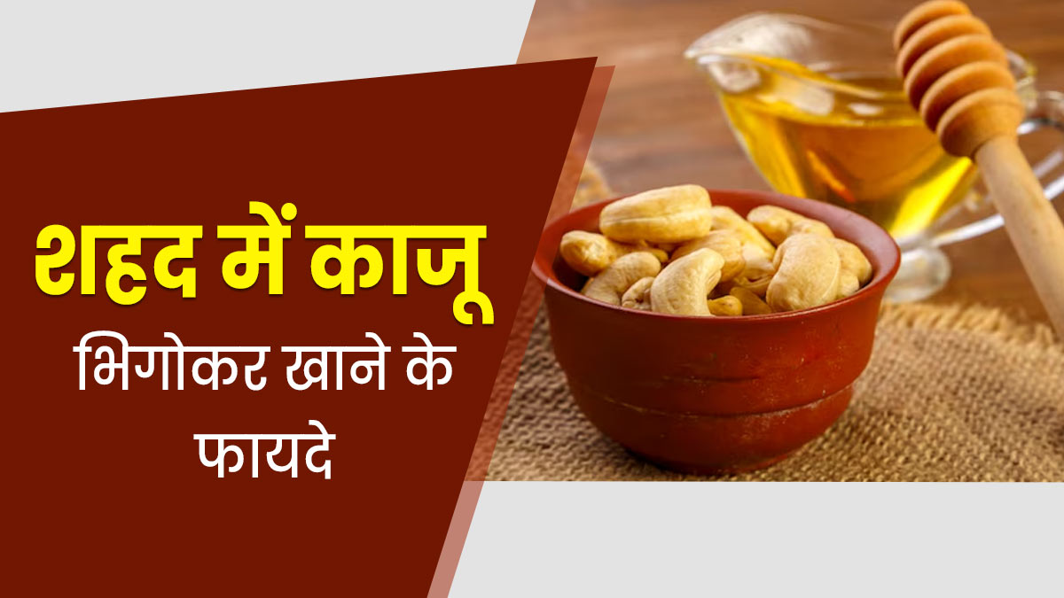 शहद में काजू भिगोकर खाने से सेहत को मिल सकते हैं ये 5 फायदे
