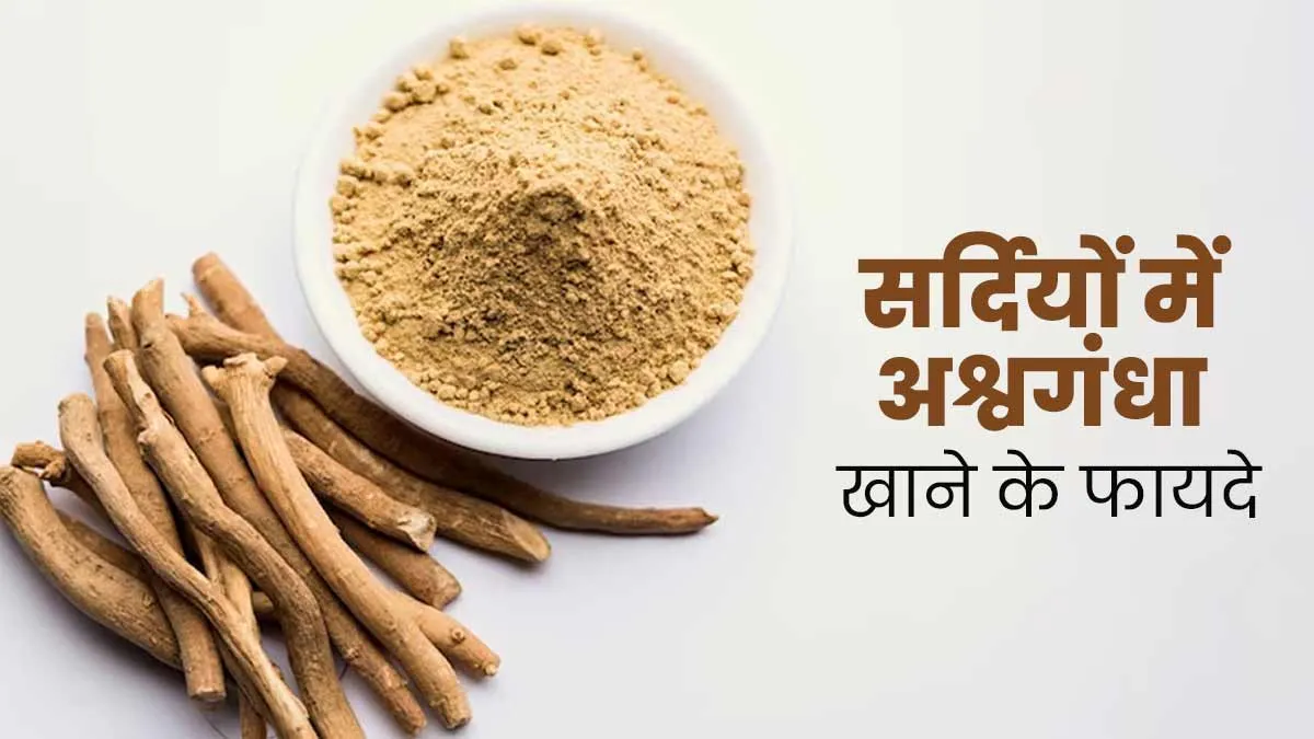 सर्दियों में अश्वगंधा का सेवन करने से सेहत को मिलते हैं ये 5 फायदे, आयुर्वेदाचार्य से जानें इसके बारे में