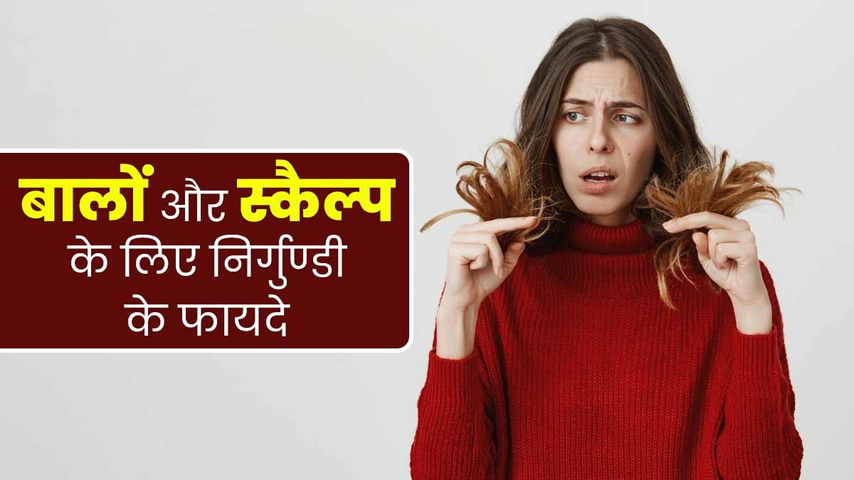 बालों और स्कैल्प के लिए वरदान है निर्गुण्डी जड़ी-बूटी, जानें उपयोग के तरीके और फायदे