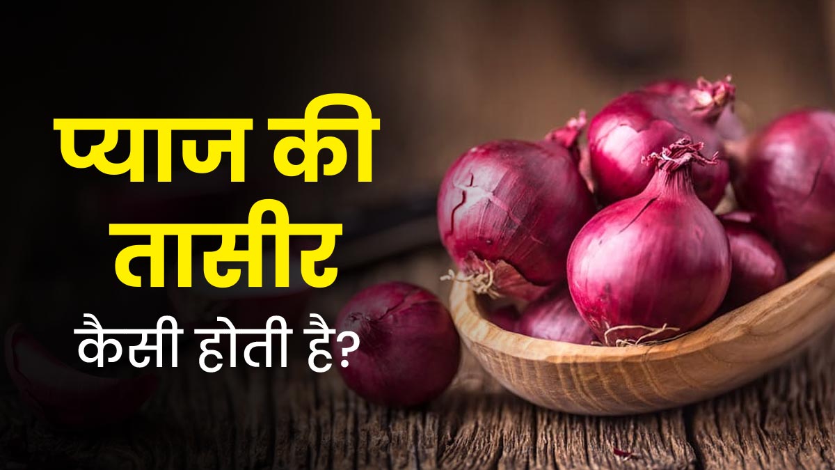 प्याज की तासीर कैसी होती है? जानें सलाद के रूप में किसे करना चाहिए इसका सेवन और किसे नहीं
