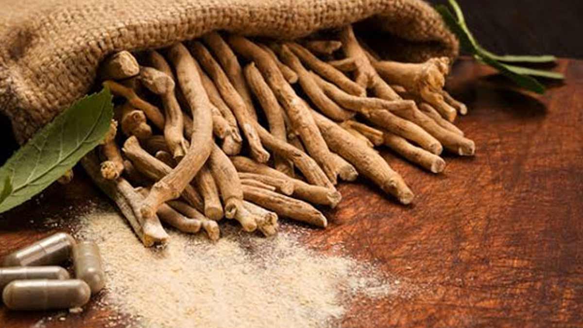 Health-benefits-of-Ashwagandha-in-winters-according-to-Ayurveda-inside Health-benefits-of-Ashwagandha-in-winters-according-to-Ayurveda-inside