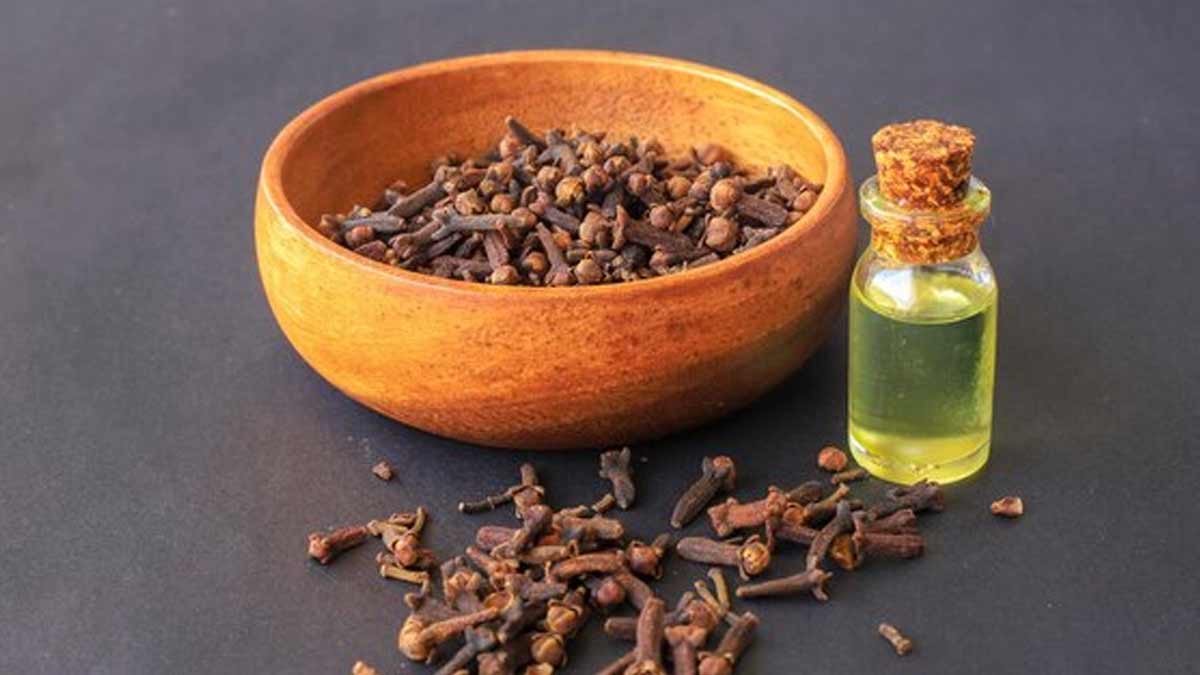 clove oil use