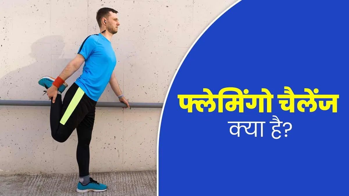 फ्लेमिंगो चैलेंज क्या है? डॉक्टर से जानें इस मजेदार टेस्ट के बारे में, जिससे चलेगा आपकी फिटनेस का पता