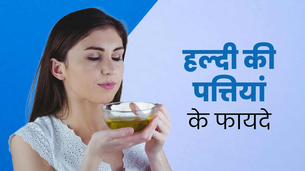 हल्दी की पत्तियां भी होती है सेहत के लिए फायदेमंद, जानें कैसे करें उपयोग