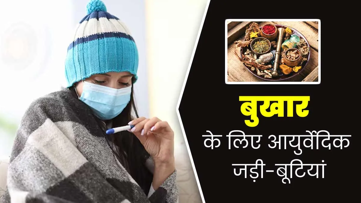 बुखार होने पर इन 5 जड़ी-बूटियों का करें सेवन, शरीर का तापमान होगा कम और दर्द से मिलेगी राहत