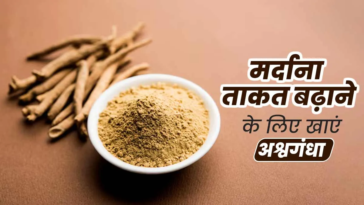 मर्दाना ताकत बढ़ाने के लिए खाएं अश्वगंधा, आयुर्वेदाचार्य से जानें तरीका और फायदे
