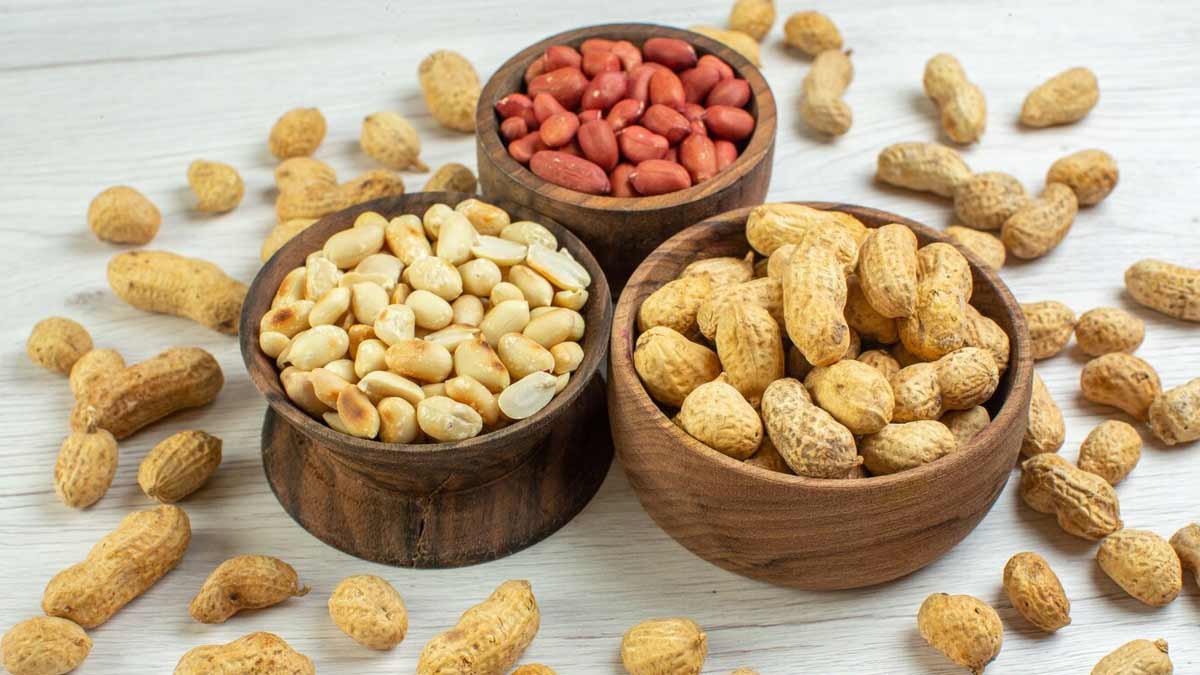 कच्‍ची या भुनी मूंगफली, सर्दि‍यों में क्या है सेहत के ल‍िए ज्‍यादा फायदेमंद? एक्‍सपर्ट से जानें 
