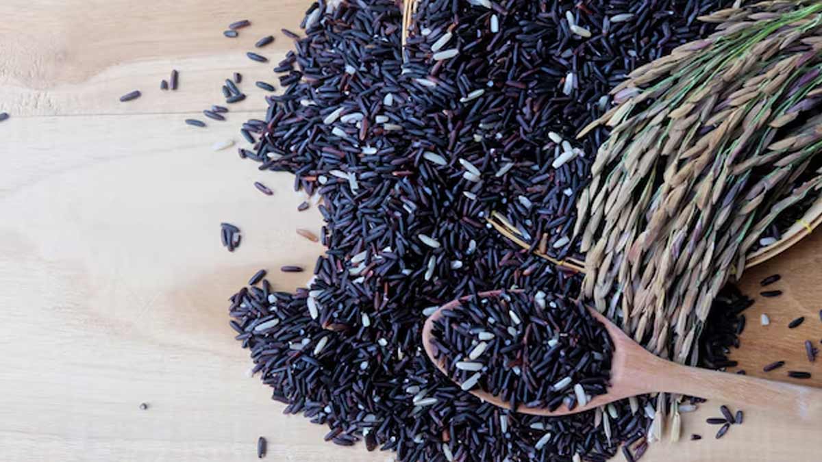 Black Rice Benefits For Heart Health In Hindi black-rice-benefits-for-heart-health-in