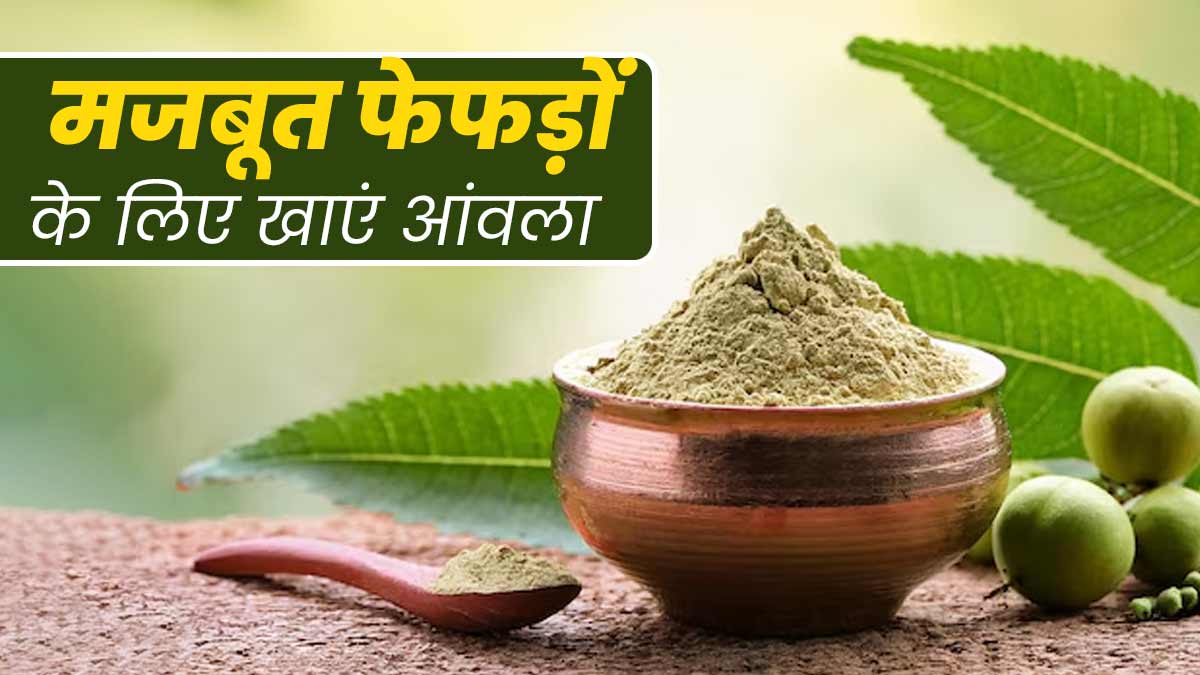 सर्दि‍यों में फेफड़ों को सेहतमंद रखता है आंवला, जानें इसे डाइट में शामिल करने के 5 तरीके