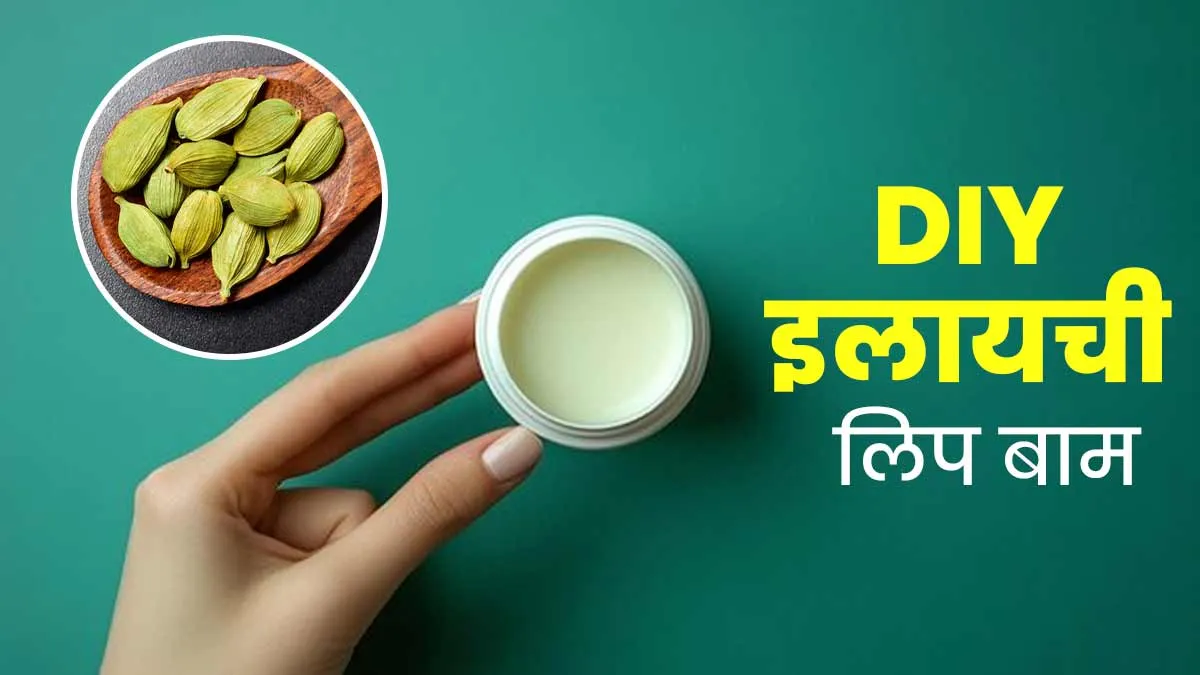 घर पर इलायची से बनाएं DIY ल‍िप बाम, सर्दि‍यों में दूर होगी फटे होंठों की समस्‍या