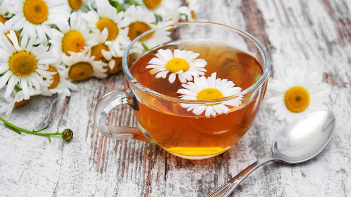 क्या कैमोमाइल टी पीने से नींद अच्छी आती है? एक्सपर्ट से जानें